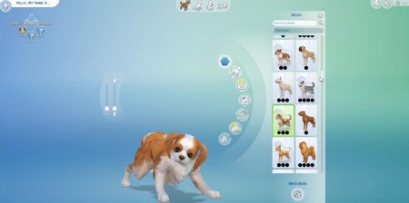 45 новых скриншотов из режима создания питомцев в дополнении "The Sims 4 Кошки и собаки"