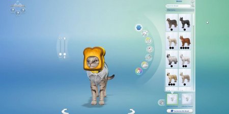 45 новых скриншотов из режима создания питомцев в дополнении "The Sims 4 Кошки и собаки"