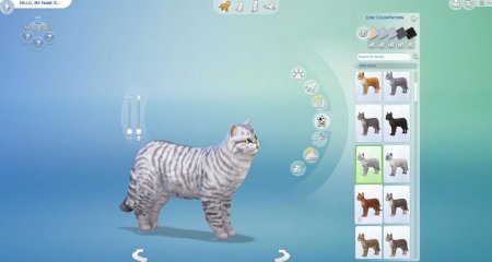 45 новых скриншотов из режима создания питомцев в дополнении "The Sims 4 Кошки и собаки"