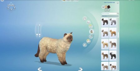 45 новых скриншотов из режима создания питомцев в дополнении "The Sims 4 Кошки и собаки"