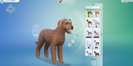45 новых скриншотов из режима создания питомцев в дополнении "The Sims 4 Кошки и собаки"