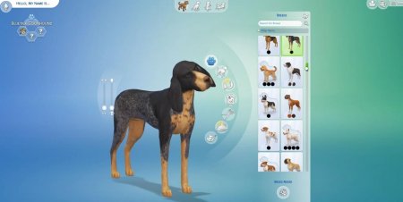 45 новых скриншотов из режима создания питомцев в дополнении "The Sims 4 Кошки и собаки"