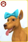 Режим создания питомцев в The Sims 4 Кошки и собаки: изображения одежды и аксессуаров