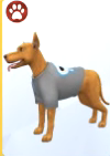 Режим создания питомцев в The Sims 4 Кошки и собаки: изображения одежды и аксессуаров
