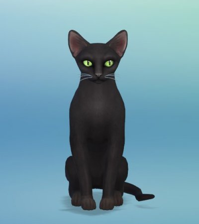The Sims 4 Кошки и собаки: новые скриншоты от SimGuruEmory