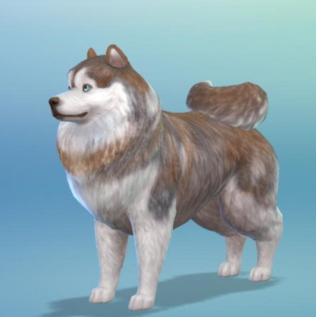 Новые факты о дополнении "The Sims 4 Кошки и собаки" от разработчиков игры