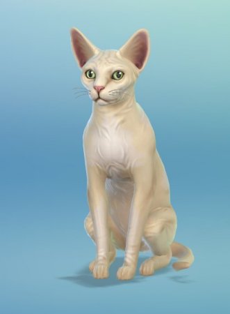 The Sims 4 Кошки и собаки: пять новых скриншотов животных от SimGuruEmory