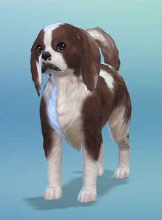 The Sims 4 Кошки и собаки: пять новых скриншотов животных от SimGuruEmory