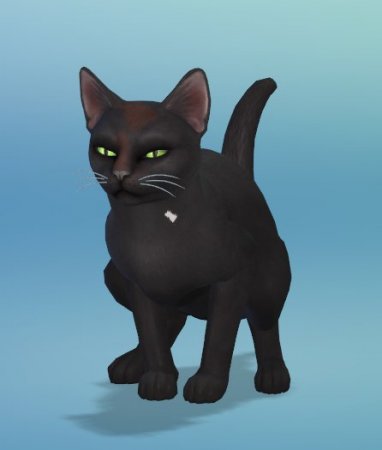 The Sims 4 Кошки и собаки: пять новых скриншотов животных от SimGuruEmory