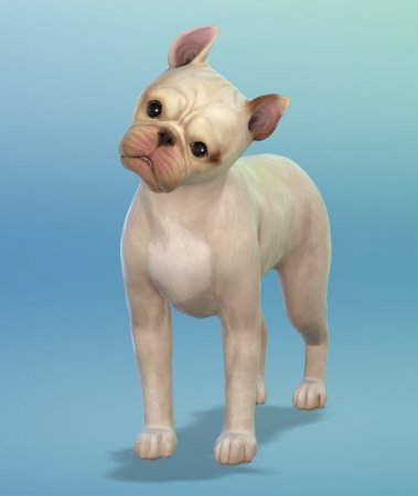 The Sims 4 Кошки и собаки: пять новых скриншотов животных от SimGuruEmory