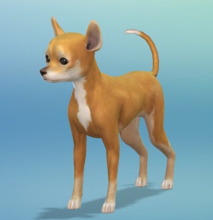 The Sims 4 Кошки и собаки: пять новых скриншотов животных от SimGuruEmory