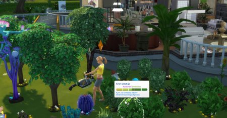 Изменения в садоводстве в The Sims 4