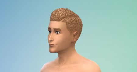 Предметы из бесплатного обновления "Карибы" для The Sims 4