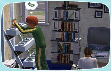 Скриншоты базовой игры The Sims 2 (21-40)