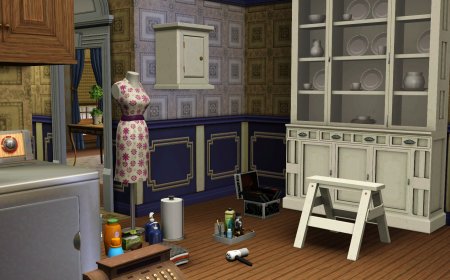 Скриншоты дополнения The Sims 3 Карьера
